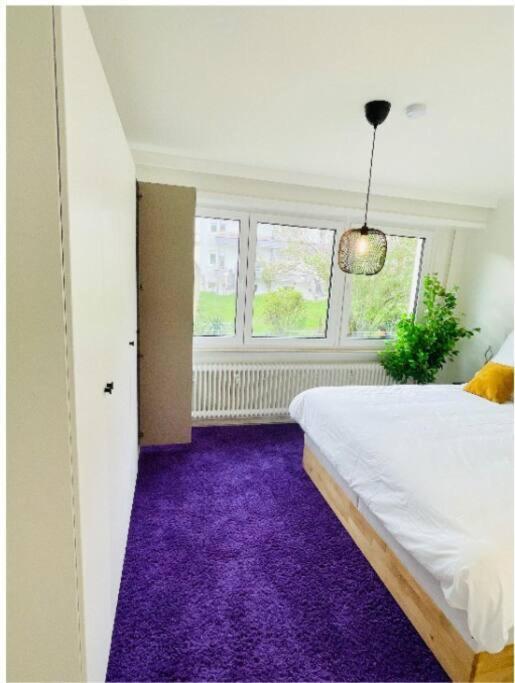 Apartment Three Bedrooms Flat In Center W. Terrace&parking *
